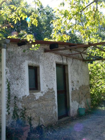 Rustico - Cascina PESCIA vendita   di Sorana Agenzia Immobiliare Il Torrione di Rosellini Rag.