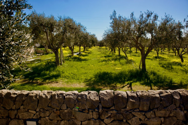 Rustico - Cascina RAGUSA vendita   Provinciale 25 Marina Immobiliare