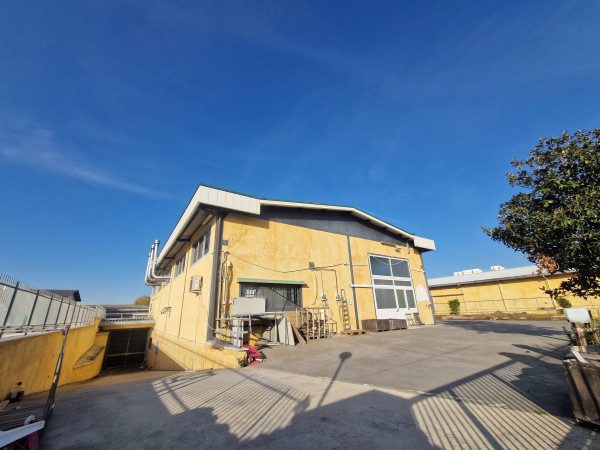 Capannoni (Tutti) ROMA affitto  Due Leoni Casilina Mariani Rei srl