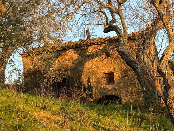 Rustico - Cascina POMARANCE vendita    IMMOBILIARE CALETTA