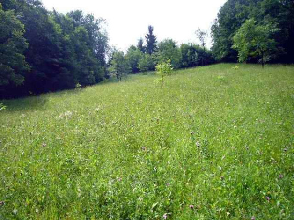 Rustico - Cascina BERBENNO vendita   Europa, 7 Pianeta Immobiliare