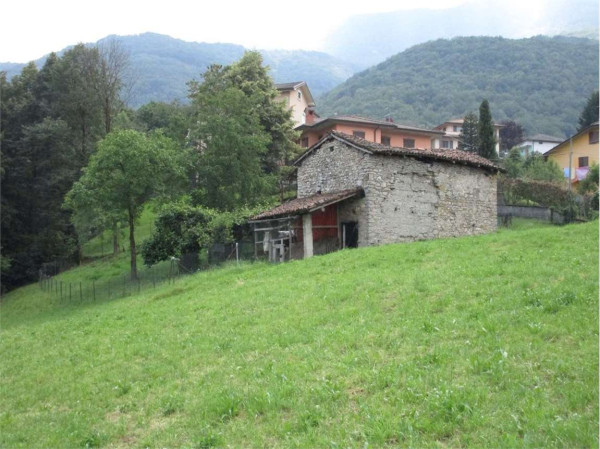 Rustico - Cascina BEDULITA vendita   Canovelli Pianeta Immobiliare