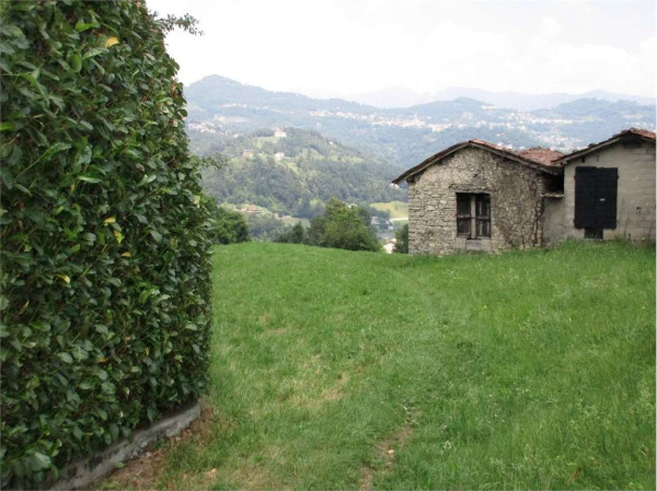 Rustico - Cascina BEDULITA vendita   Canovelli Pianeta Immobiliare