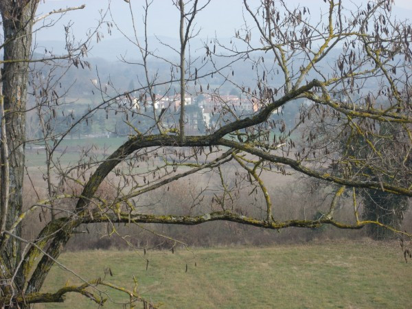 Rustico - Cascina AREZZO vendita  Montefalco  SAI Immobiliare S.r.l.