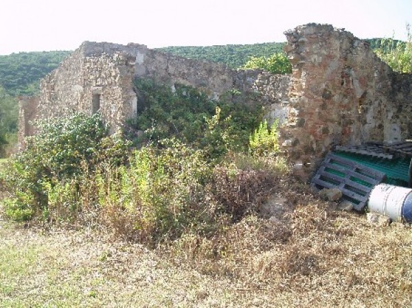 Rustico - Cascina CAMPAGNATICO vendita   Sant'Agata IMMOBILIARE CALETTA