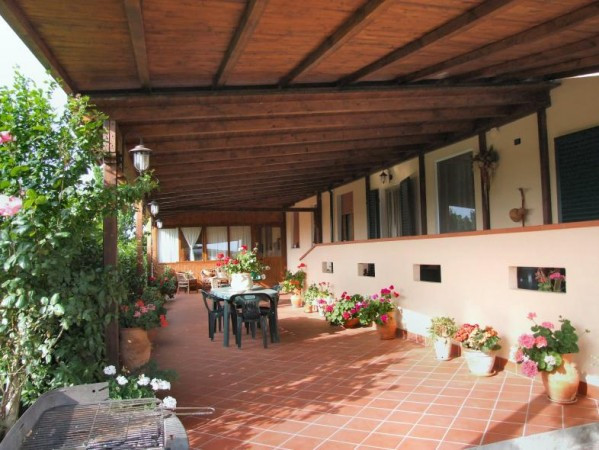 Villa CASCINA vendita  San Lorenzo A Pagnatico Pagnatico Agenzia Immobiliare Morganti Adriano