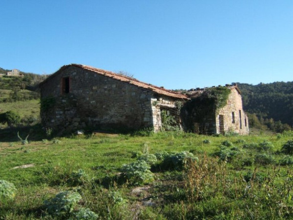 Rustico - Cascina PIEGARO vendita    RE HOUSE Immobiliare