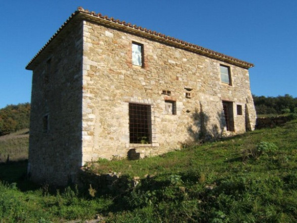 Rustico - Cascina PIEGARO vendita    RE HOUSE Immobiliare