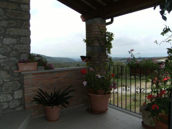 Rustico - Cascina MONTEGABBIONE vendita    Arca Immobiliare New Studio