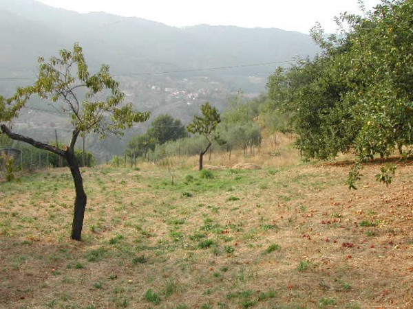 Rustico - Cascina PESCIA vendita  Sorana di Gave Agenzia Immobiliare Il Torrione di Rosellini Rag.