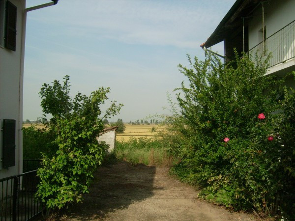 Rustico - Cascina VINZAGLIO vendita   25 Aprile La casa sull'albero