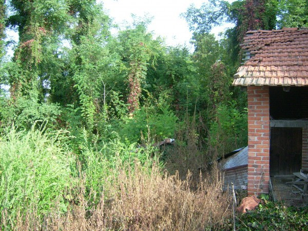 Rustico - Cascina VINZAGLIO vendita   25 Aprile La casa sull'albero