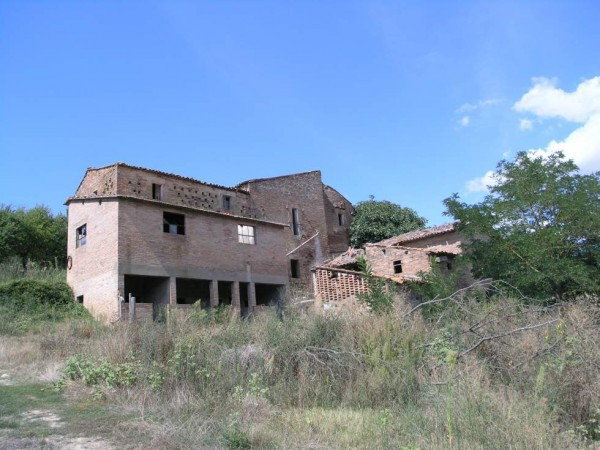 Rustico - Cascina TODI vendita  Due Santi  Gabetti Todi - Benvivendo s.n.c.