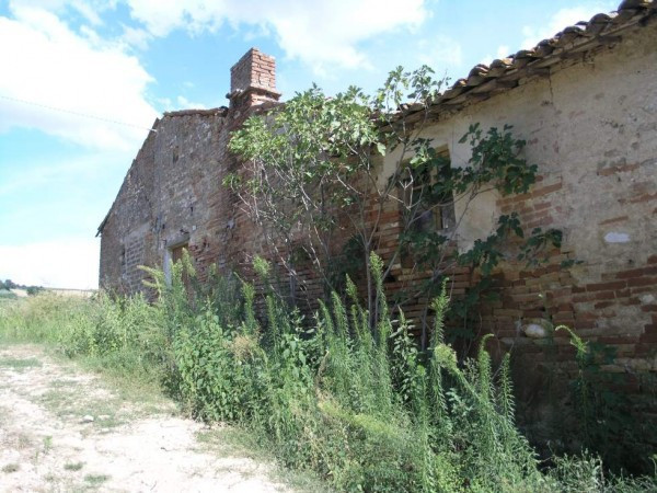 Rustico - Cascina TODI vendita  Due Santi  Gabetti Todi - Benvivendo s.n.c.