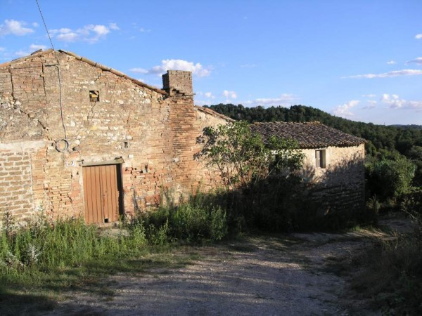 Rustico - Cascina TODI vendita  Due Santi  Gabetti Todi - Benvivendo s.n.c.