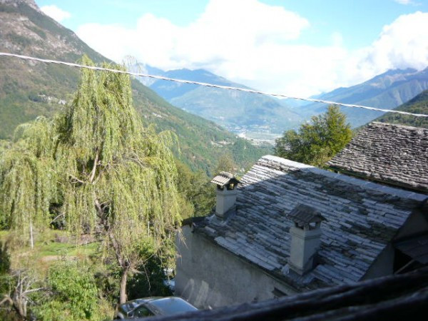 Rustico - Cascina BOGNANCO vendita  Pioi bosco Rusticoinossola