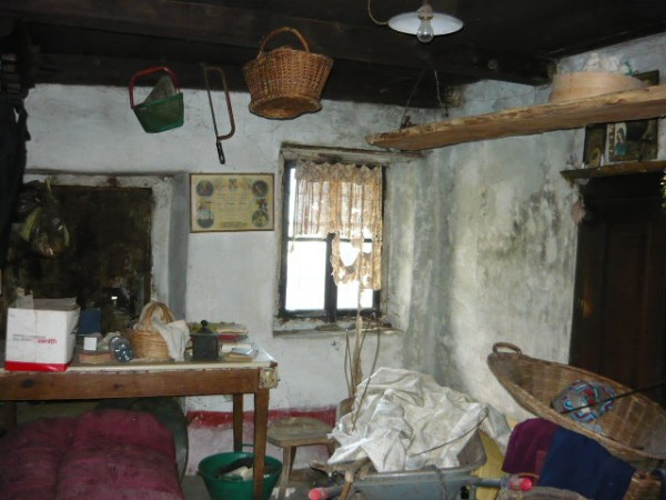 Rustico - Cascina BOGNANCO vendita  Pioi bosco Rusticoinossola