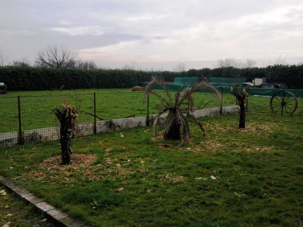 Villa Unifamiliare - Indipendente CORTENUOVA vendita  Santa Maria Del Sasso  GIROCASA