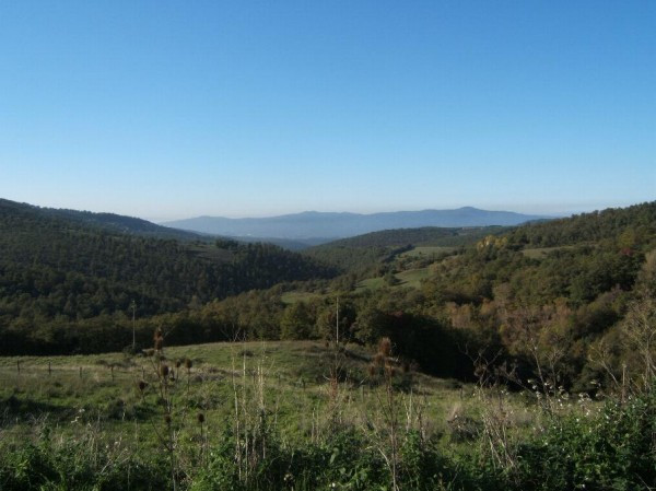 Rustico - Cascina PIEGARO vendita  Vocabolo Vignaie Località Vignaie RE HOUSE Immobiliare