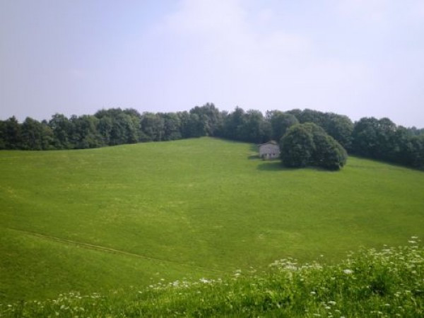 Rustico - Cascina ZOGNO vendita   Centro IDEA CASA