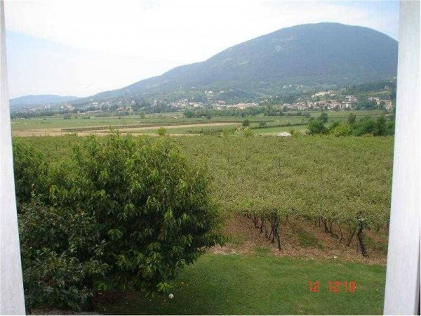 Rustico - Cascina CAPRINO VERONESE vendita   Scalette ROSELLA CONSOLINI