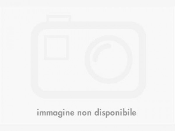 Negozio - Loc.Com. ROMA vendita  Africano - Villa Chigi  Prometeo Group Srl