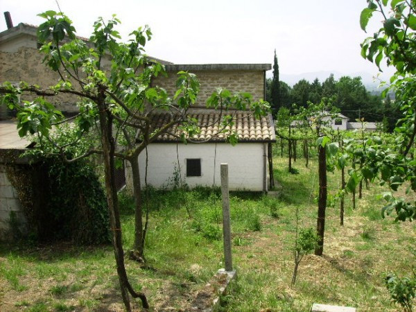 Villa Unifamiliare - Indipendente SAN POTITO SANNITICO vendita   SAN POTITO SANNITICO Immobilcasa Srl