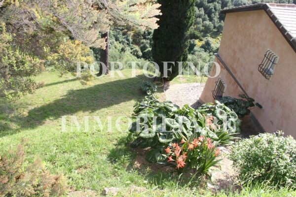 Villa PORTOFINO vendita   Piazzetta Portofino Immobiliare