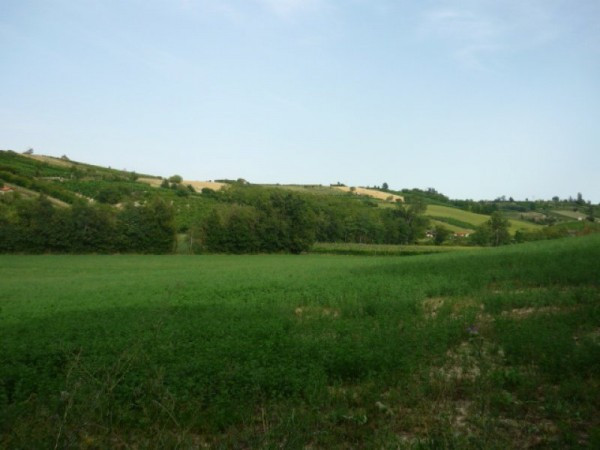 Rustico - Cascina TORTONA vendita   SORLINO, 1 LA PIEVE s.r.l. Sistemi Integrati Immobiliari