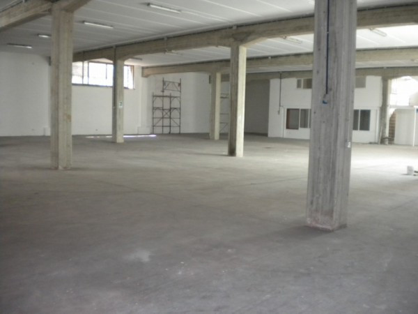 Capannoni (Tutti) ROMA affitto  Gregna Sant'Andrea ranuccio bianchi bandinelli Mariani Rei srl