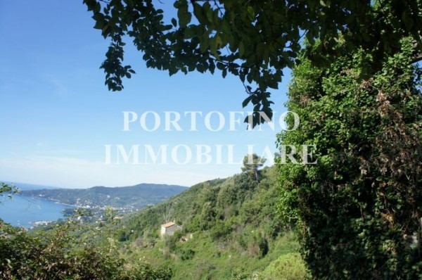  rapallo vendita quart:  portofino-immobiliare