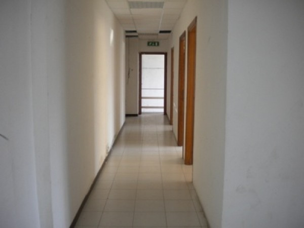 Capannoni (Tutti) ROMA affitto  Gregna Sant'Andrea Ranuccio Bianchi Bandinelli Mariani Rei srl