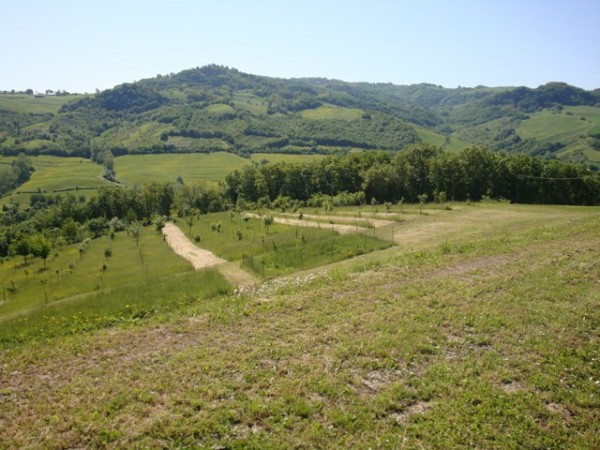 Rustico - Cascina MARANO SUL PANARO vendita   Fondovalle ARIA IMMOBILIARE DI RIZZI ALESSANDRO