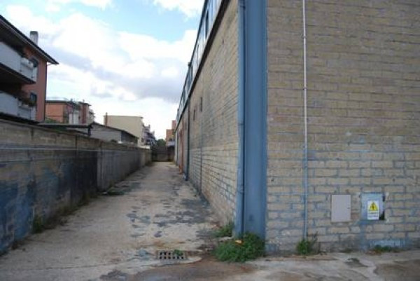 Capannoni (Tutti) ROMA affitto  ROMANINA FRANCESCO DI BENEDETTO Mariani Rei srl