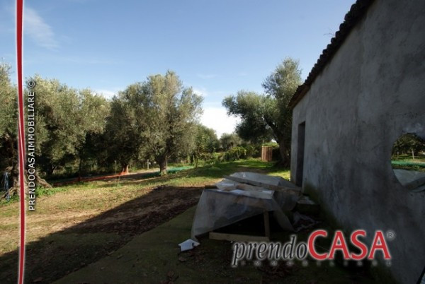 Rustico - Cascina BRIATICO vendita  Sciconi Statale 522 Prendocasa Immobiliare