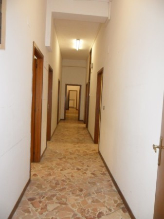 Ufficio - Loc.Com. AREZZO affitto   Trasimeno Immobiliare Magnanini srl -  Arezzo