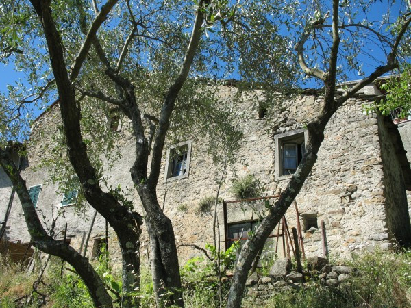 Rustico - Cascina PONTREMOLI vendita    Studio Bergamaschi Immobiliare