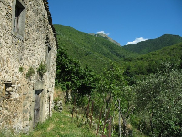 Rustico - Cascina PONTREMOLI vendita    Studio Bergamaschi Immobiliare