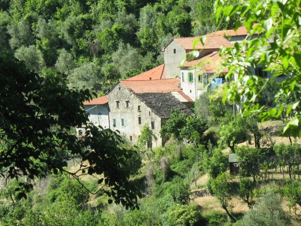 Rustico - Cascina PONTREMOLI vendita    Studio Bergamaschi Immobiliare