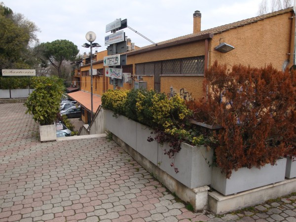 Negozio - Loc.Com. ROMA affitto  LA STORTA (ZONA DELLA XX MUN.) A.G. BRAGAGLIA Tecnostores