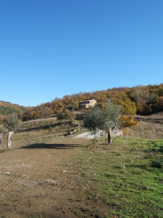 Rustico - Cascina PIEGARO vendita  Vocabolo Vignaie Località Ierna RE HOUSE Immobiliare