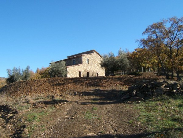 Rustico - Cascina PIEGARO vendita  Vocabolo Vignaie Località Ierna RE HOUSE Immobiliare