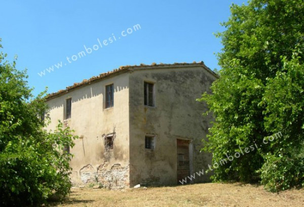 Rustico - Cascina ARCEVIA vendita   Statale 360 Tombolesi Italian Real Estate