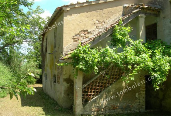 Rustico - Cascina ARCEVIA vendita   Statale 360 Tombolesi Italian Real Estate