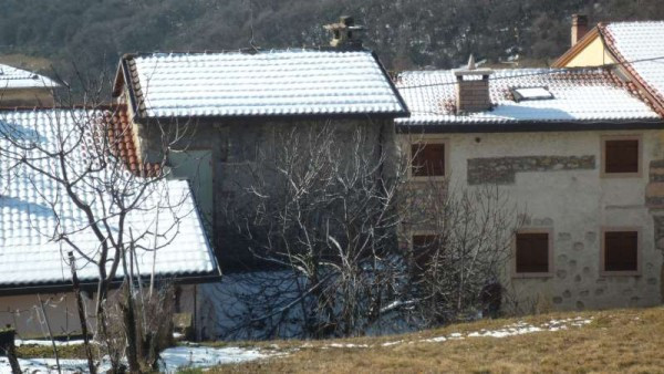 Rustico - Cascina GREZZANA vendita  Lugo  Stima Verona