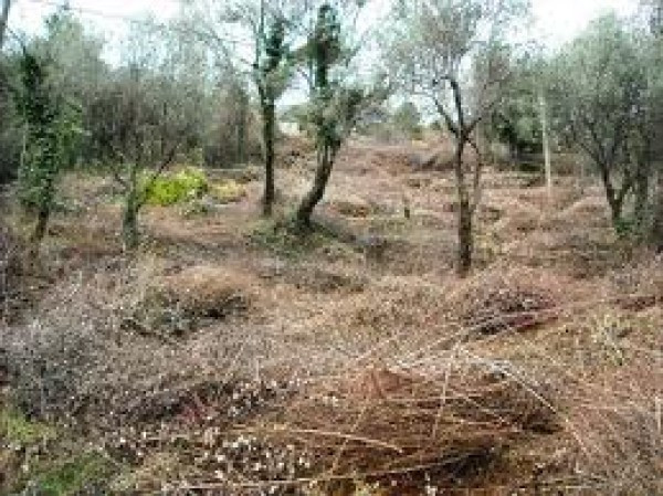 Vendita terreno agricolo a Avellino