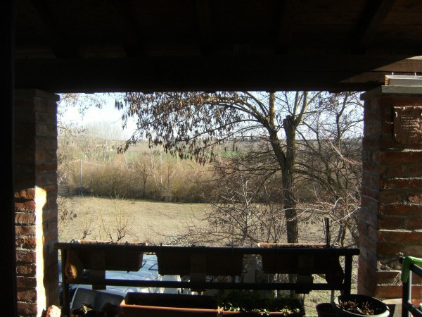 Rustico - Cascina MONTEPULCIANO vendita    Arca Immobiliare New Studio