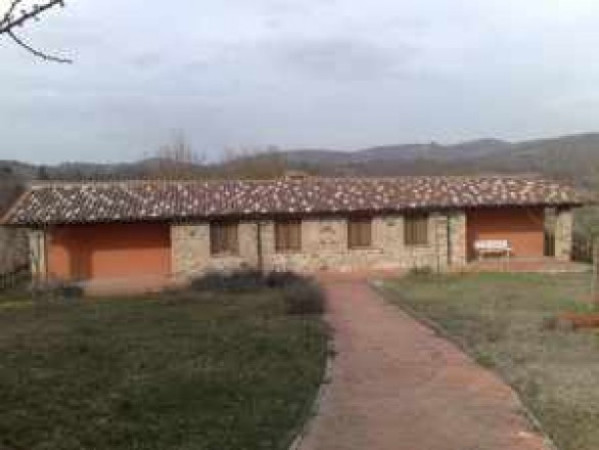 Rustico - Cascina PANICALE vendita    leonardi immobiliare