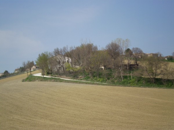 Rustico - Cascina OSTRA vendita    Dr Umberto RAGAZZINI  /  UR_STUDIO IMMOBILIARE