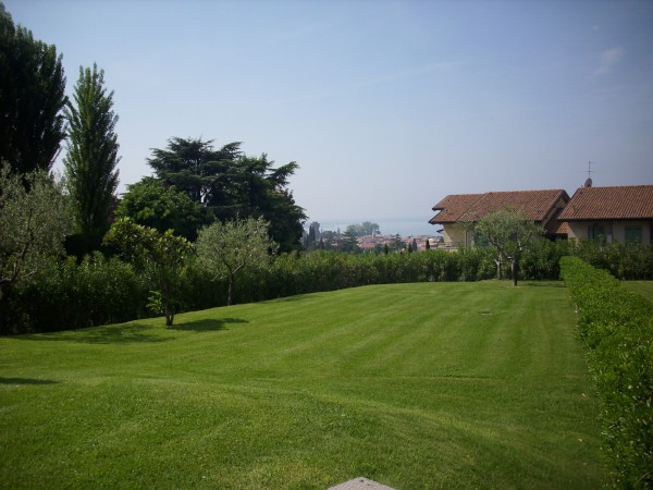 Appartamento LAZISE affitto  Belvedere  ROSELLA CONSOLINI